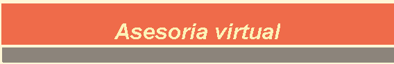 Asesoria virtual